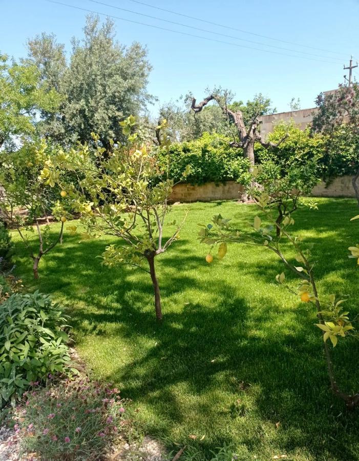 Dimora Dalia - Puglia Mia Apartments Monopoli Eksteriør billede